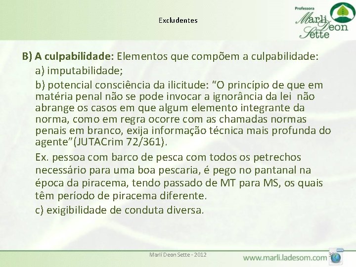 Excludentes B) A culpabilidade: Elementos que compõem a culpabilidade: a) imputabilidade; b) potencial consciência Excludentes B) A culpabilidade: Elementos que compõem a culpabilidade: a) imputabilidade; b) potencial consciência
