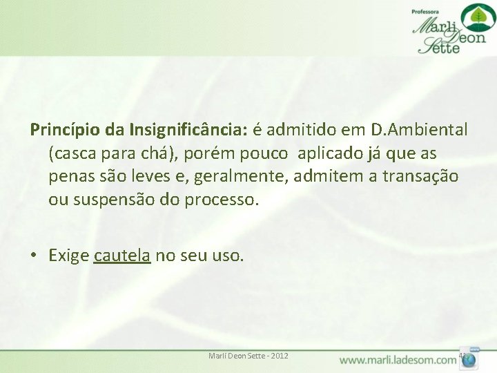 Princípio da Insignificância: é admitido em D. Ambiental (casca para chá), porém pouco aplicado Princípio da Insignificância: é admitido em D. Ambiental (casca para chá), porém pouco aplicado