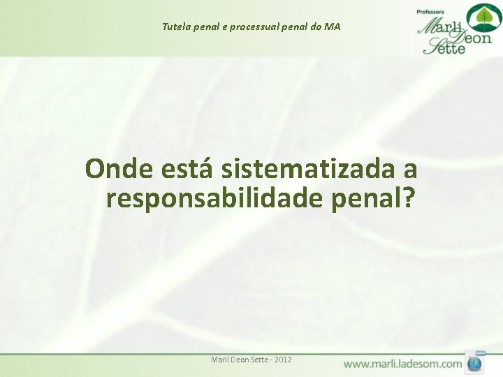 Tutela penal e processual penal do MA Onde está sistematizada a responsabilidade penal? Marli Tutela penal e processual penal do MA Onde está sistematizada a responsabilidade penal? Marli