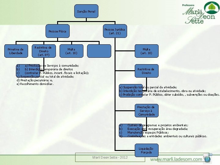 Sanção Penal Pessoa Física Privativa de Liberdade Restritiva de Direito (art. 8º) Pessoa Jurídica Sanção Penal Pessoa Física Privativa de Liberdade Restritiva de Direito (art. 8º) Pessoa Jurídica