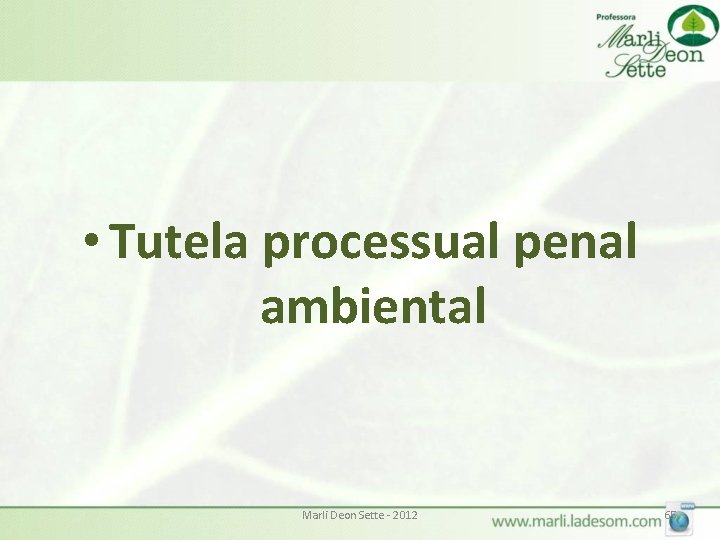 • Tutela processual penal ambiental Marli Deon Sette - 2012 65 • Tutela processual penal ambiental Marli Deon Sette - 2012 65
