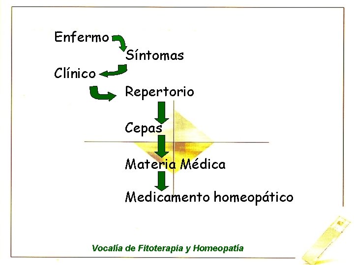 Enfermo Clínico Síntomas Repertorio Cepas Materia Médica Medicamento homeopático Vocalía de Fitoterapia y Homeopatía