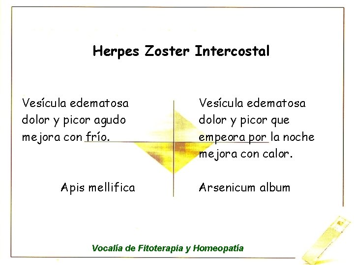 Herpes Zoster Intercostal Vesícula edematosa dolor y picor agudo mejora con frío. Apis mellifica