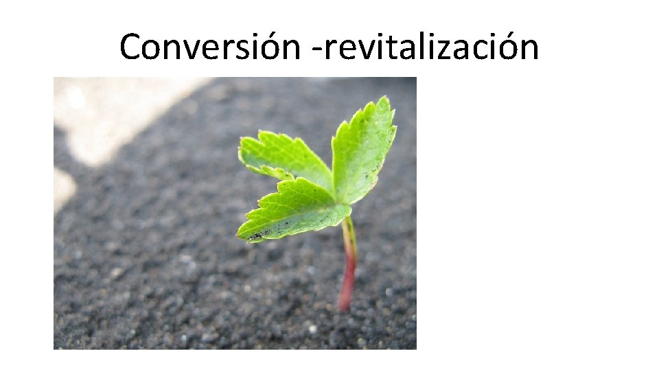 Conversión -revitalización 