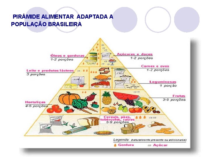  PIR MIDE ALIMENTAR ADAPTADA A POPULAÇÃO BRASILEIRA 