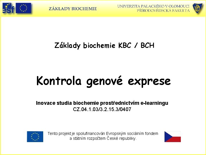 Základy biochemie KBC / BCH Kontrola genové exprese Inovace studia biochemie prostřednictvím e-learningu CZ.
