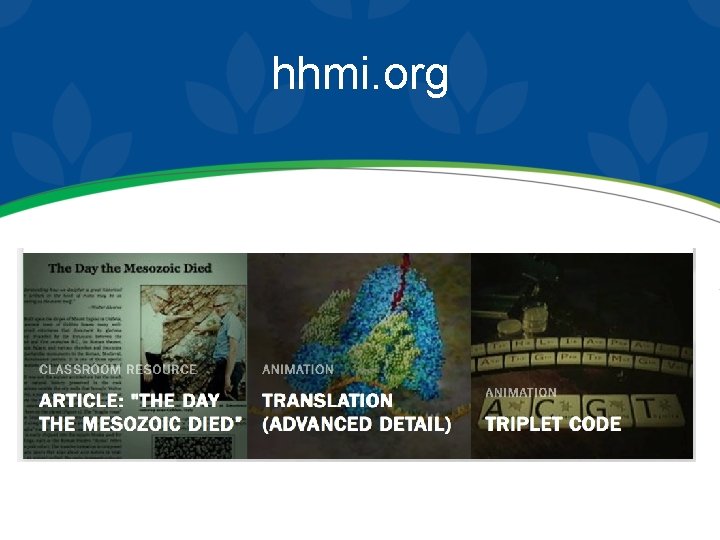 hhmi. org 