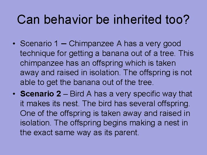Can behavior be inherited too? • Scenario 1 – Chimpanzee A has a very