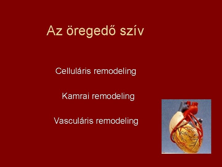 Az öregedő szív Celluláris remodeling Kamrai remodeling Vasculáris remodeling 