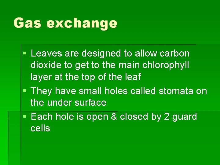 Gas exchange § Leaves are designed to allow carbon dioxide to get to the