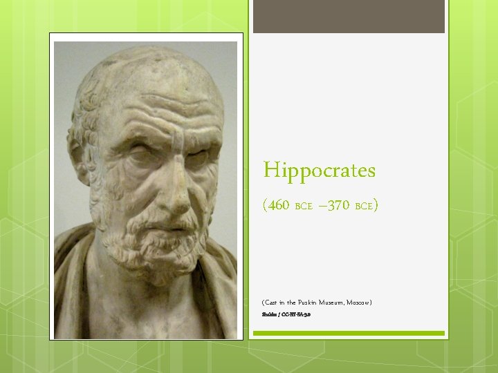Hippocrates (460 BCE – 370 BCE) (Cast in the Puskin Museum, Moscow) Shakko /