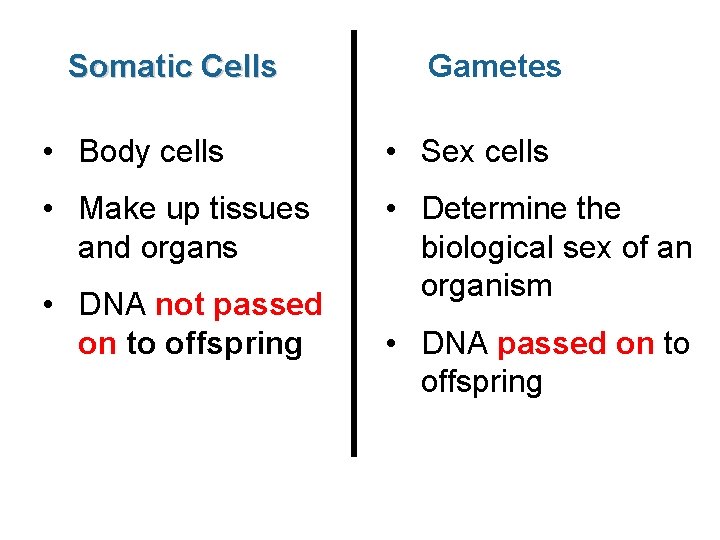  Somatic Cells Gametes • Body cells • Sex cells • Make up tissues