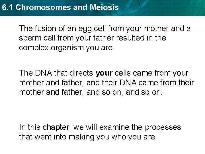 6. 1 Chromosomes and Meiosis The fusion of an egg cell from your mother
