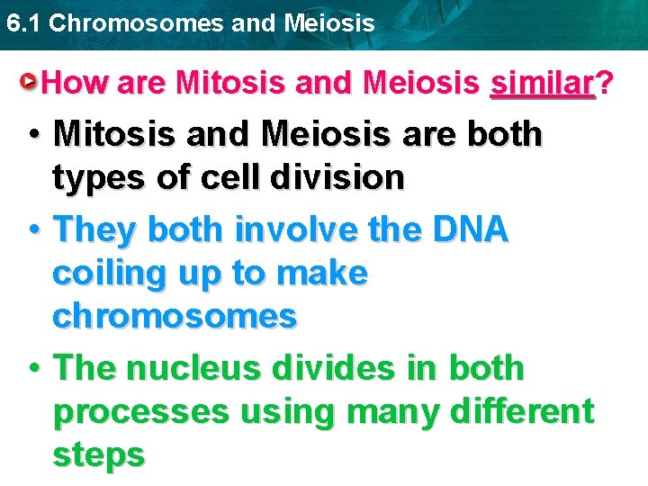 6. 1 Chromosomes and Meiosis How are Mitosis and Meiosis similar? • Mitosis and