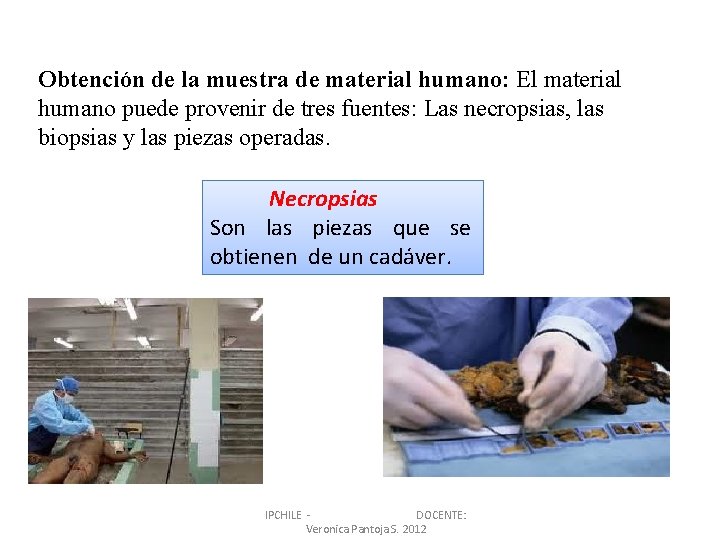 Obtención de la muestra de material humano: El material humano puede provenir de tres Obtención de la muestra de material humano: El material humano puede provenir de tres