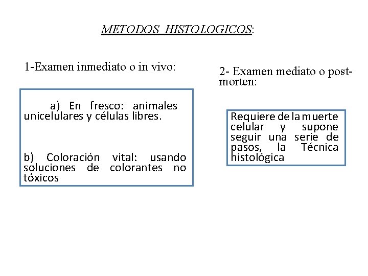 METODOS HISTOLOGICOS: 1 -Examen inmediato o in vivo: a) En fresco: animales unicelulares y METODOS HISTOLOGICOS: 1 -Examen inmediato o in vivo: a) En fresco: animales unicelulares y