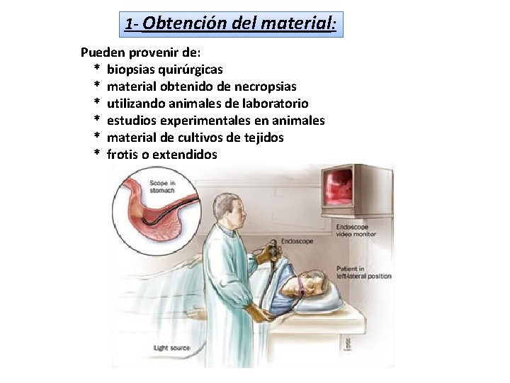 Conservacion De Biopsias Y Piezas Quirurgicas slidetodoc.com