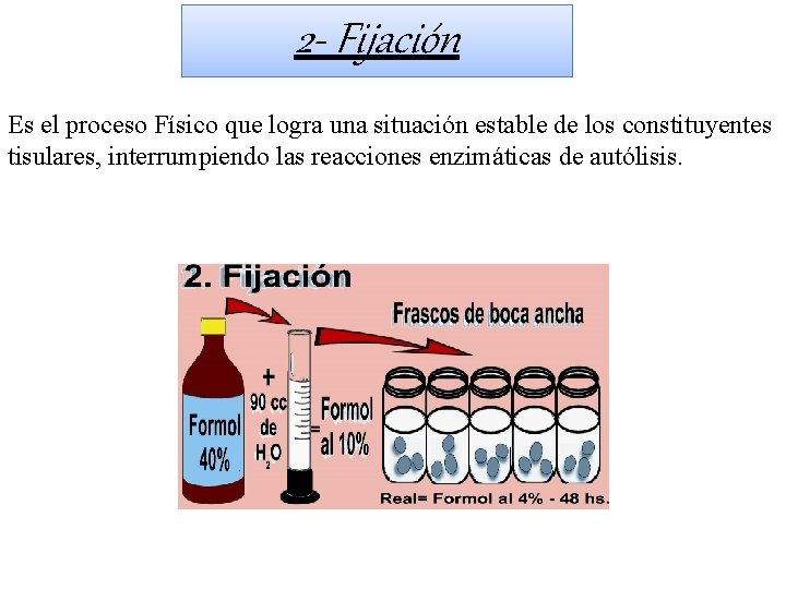 2 - Fijación Es el proceso Físico que logra una situación estable de los 2 - Fijación Es el proceso Físico que logra una situación estable de los