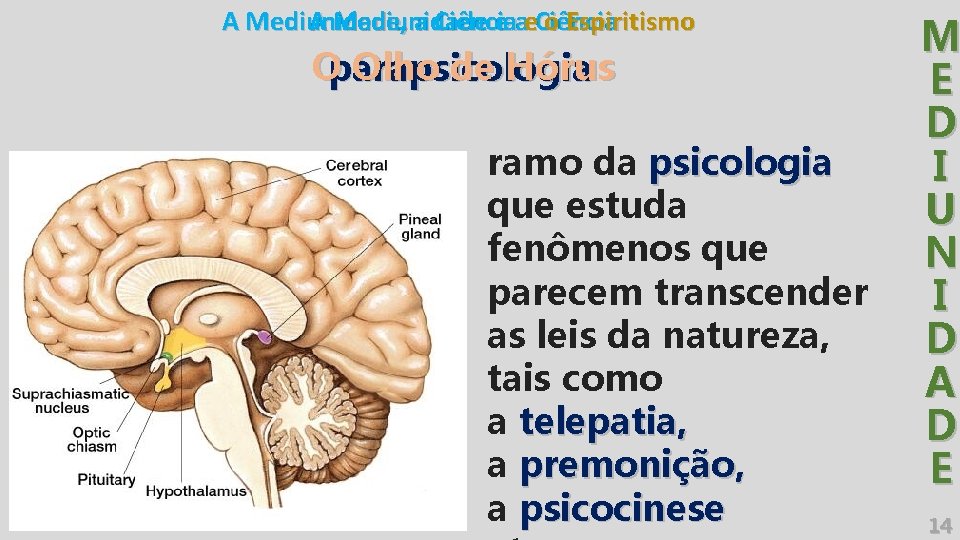 A Mediunidade, a Ciência o Espiritismo A Mediunidade e ae. Ciência O Olho de