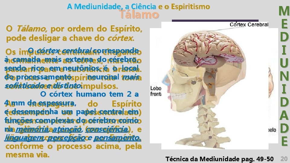 A Mediunidade, a Ciência e o Espiritismo Tálamo O Tálamo, por ordem do Espírito,