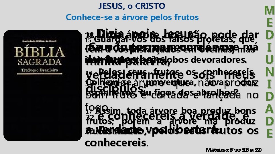 JESUS, o CRISTO Conhece-se a árvore pelos frutos M E 31 Dizia, pois, Jesus: