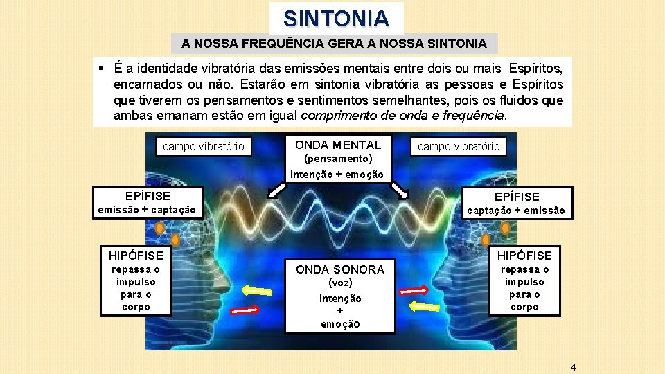 SINTONIA A NOSSA FREQUÊNCIA GERA A NOSSA SINTONIA § É a identidade vibratória das