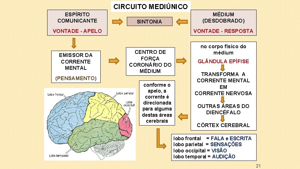 CIRCUITO MEDIÚNICO ESPÍRITO COMUNICANTE SINTONIA VONTADE - APELO EMISSOR DA CORRENTE MENTAL MÉDIUM (DESDOBRADO)