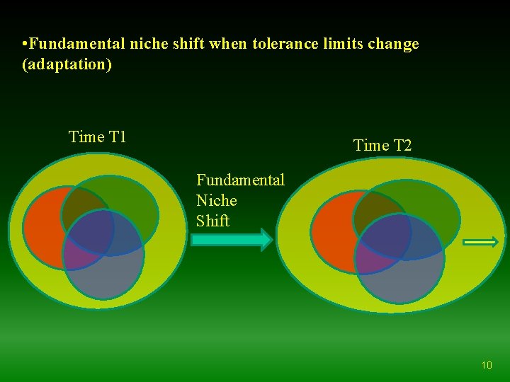  • Fundamental niche shift when tolerance limits change (adaptation) Time T 1 Time