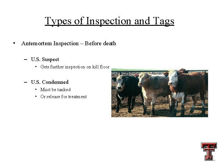 Types of Inspection and Tags • Antemortem Inspection – Before death – U. S.