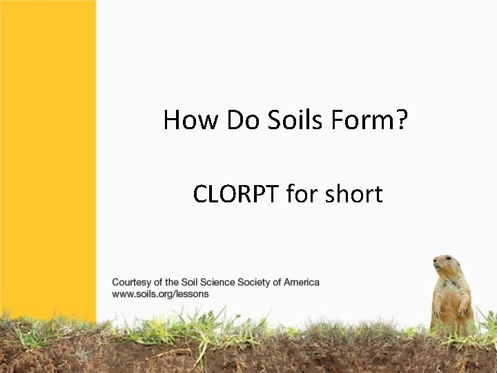 How Do Soils Form? CLORPT for short How Do Soils Form? CLORPT for short
