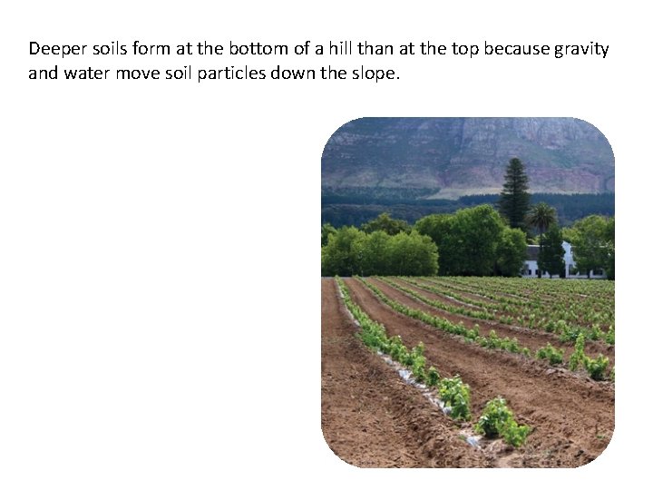 Deeper soils form at the bottom of a hill than at the top because Deeper soils form at the bottom of a hill than at the top because
