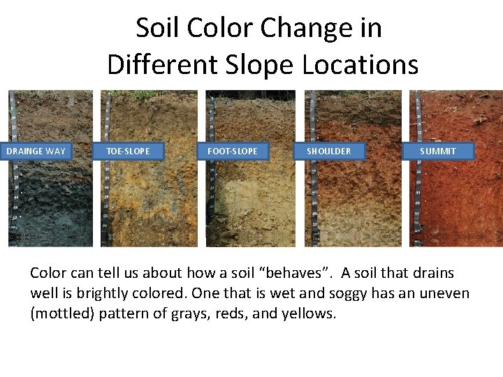 Soil Color Change in Different Slope Locations DRAINGE WAY TOE-SLOPE FOOT-SLOPE SHOULDER SUMMIT Color Soil Color Change in Different Slope Locations DRAINGE WAY TOE-SLOPE FOOT-SLOPE SHOULDER SUMMIT Color