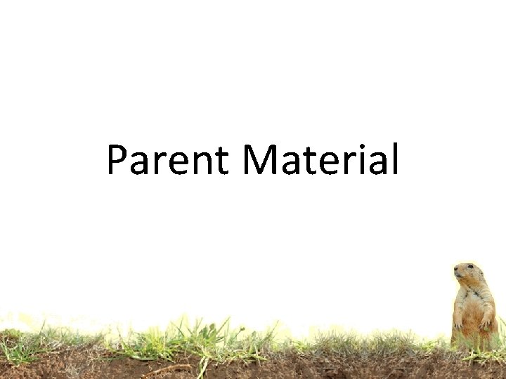 Parent Material Parent Material