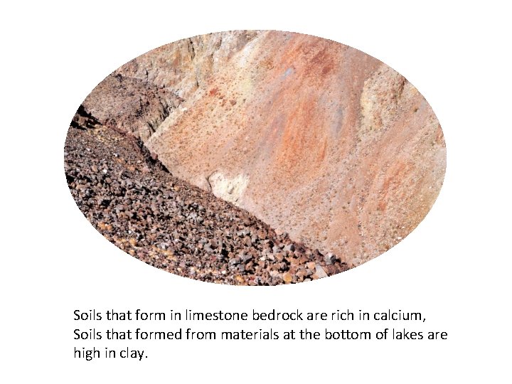 Soils that form in limestone bedrock are rich in calcium, Soils that formed from Soils that form in limestone bedrock are rich in calcium, Soils that formed from