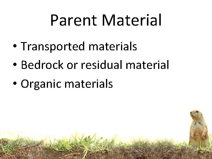 Parent Material • Transported materials • Bedrock or residual material • Organic materials Parent Material • Transported materials • Bedrock or residual material • Organic materials