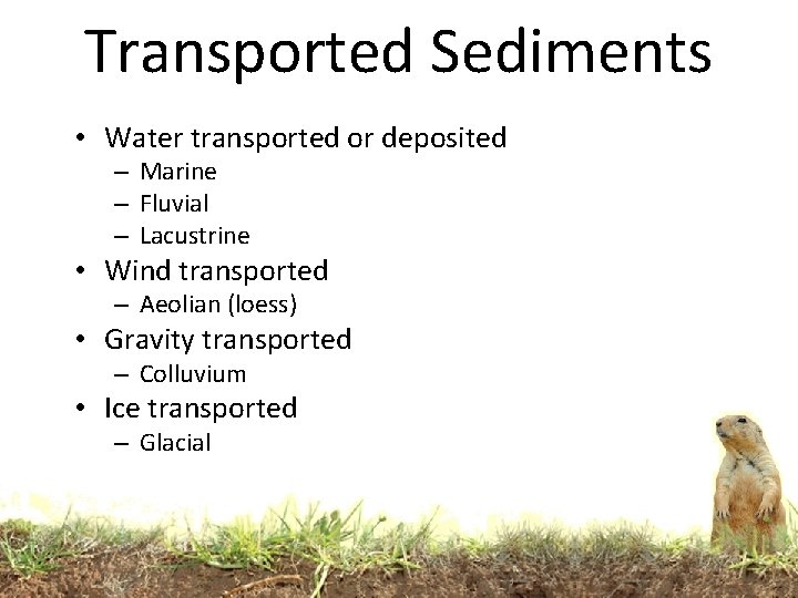 Transported Sediments • Water transported or deposited – Marine – Fluvial – Lacustrine • Transported Sediments • Water transported or deposited – Marine – Fluvial – Lacustrine •