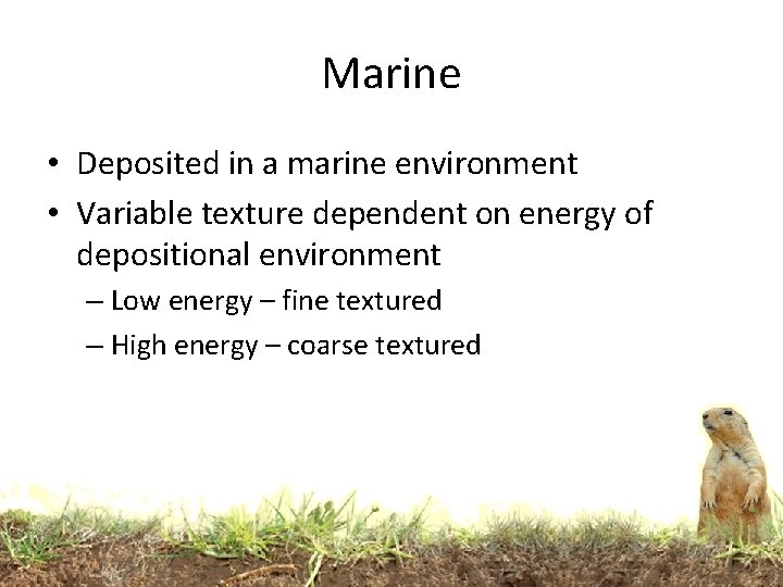 Marine • Deposited in a marine environment • Variable texture dependent on energy of Marine • Deposited in a marine environment • Variable texture dependent on energy of