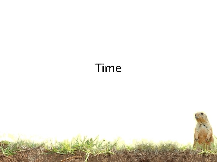 Time Time