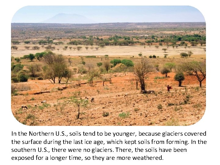 In the Northern U. S. , soils tend to be younger, because glaciers covered In the Northern U. S. , soils tend to be younger, because glaciers covered