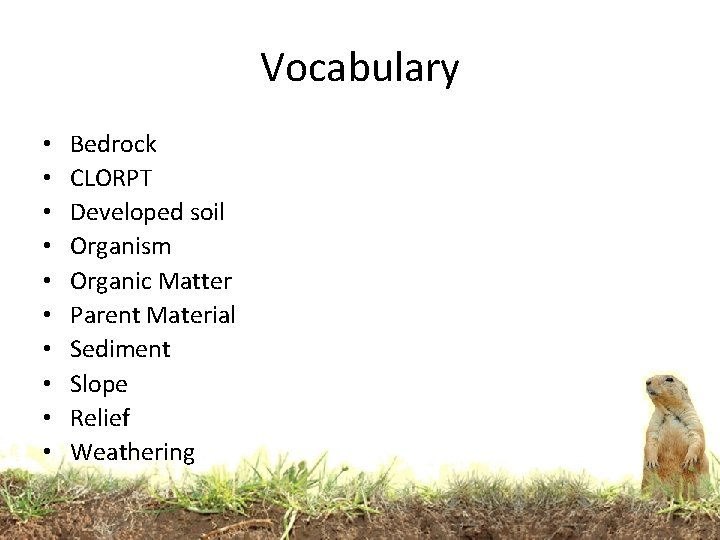 Vocabulary • • • Bedrock CLORPT Developed soil Organism Organic Matter Parent Material Sediment Vocabulary • • • Bedrock CLORPT Developed soil Organism Organic Matter Parent Material Sediment