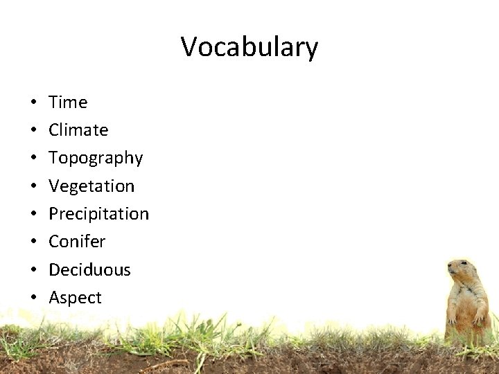 Vocabulary • • Time Climate Topography Vegetation Precipitation Conifer Deciduous Aspect Vocabulary • • Time Climate Topography Vegetation Precipitation Conifer Deciduous Aspect
