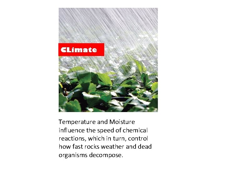 Temperature and Moisture influence the speed of chemical reactions, which in turn, control how Temperature and Moisture influence the speed of chemical reactions, which in turn, control how
