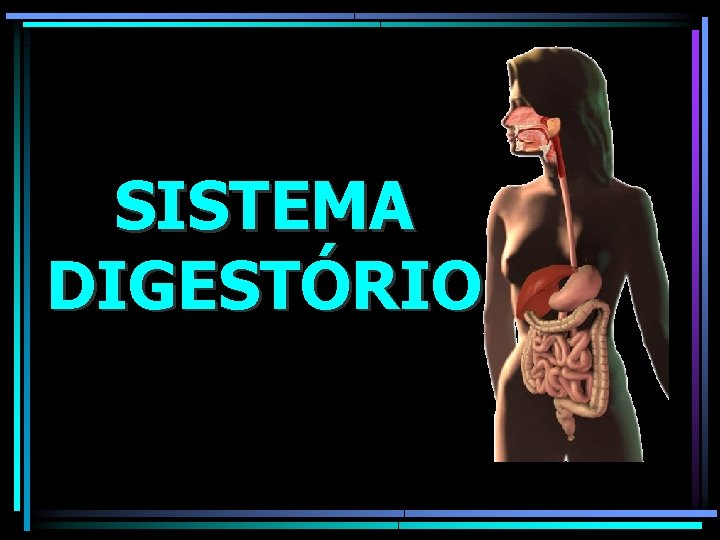SISTEMA DIGESTÓRIO 