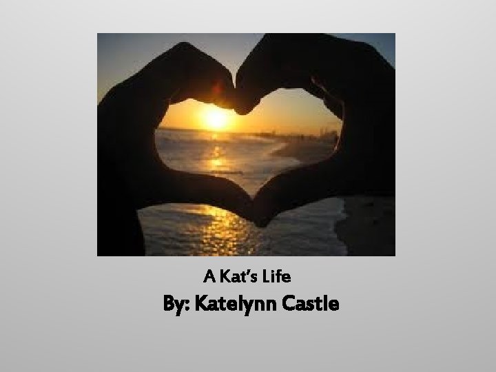 A Kat’s Life By: Katelynn Castle 