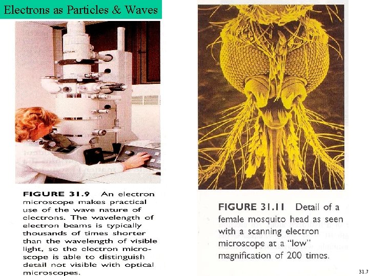 Electrons as Particles & Waves 31. 7 Electrons as Particles & Waves 31. 7