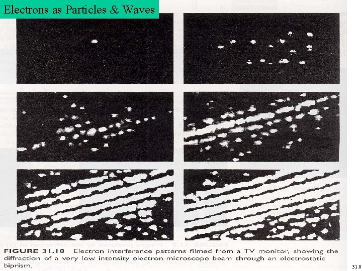 Electrons as Particles & Waves 31. 8 Electrons as Particles & Waves 31. 8