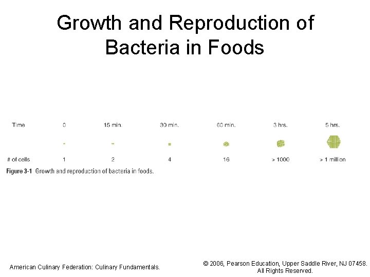 Growth and Reproduction of Bacteria in Foods American Culinary Federation: Culinary Fundamentals. © 2006,