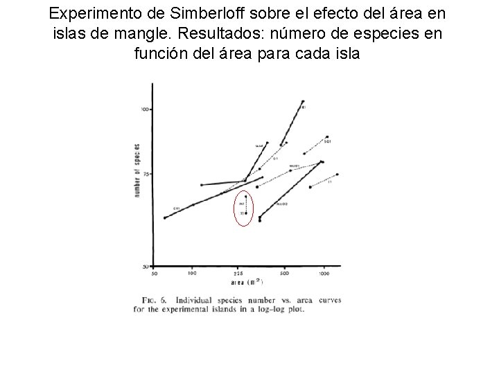 Experimento de Simberloff sobre el efecto del área en islas de mangle. Resultados: número