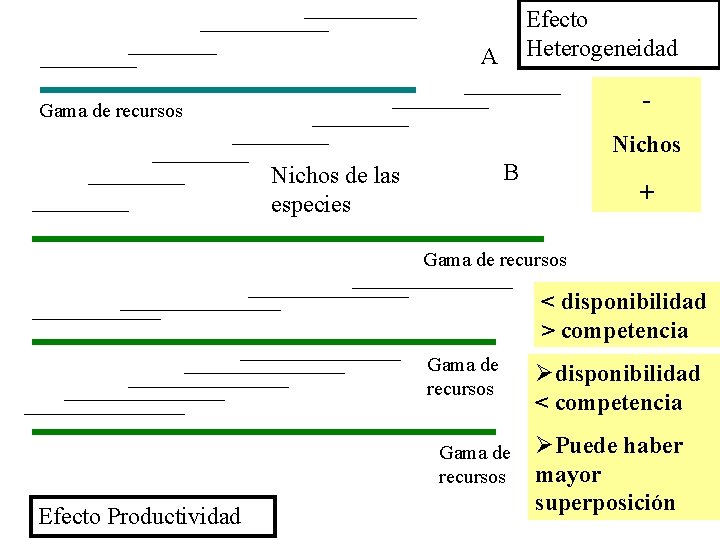Efecto Heterogeneidad A - Gama de recursos Nichos B Nichos de las especies +