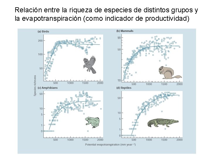 Relación entre la riqueza de especies de distintos grupos y la evapotranspiración (como indicador